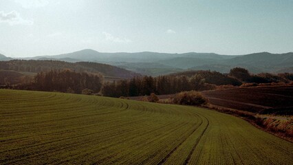 Obraz premium farmlands with mountains