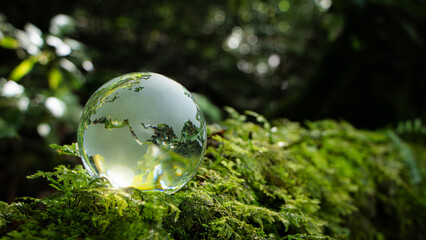 Earth Day, World sustainable environment concept. Crystal Earth In Forest With Ferns And Sunlight. Environment, save clean planet, ecology. Earth Day banner with copy space. ESG. Net Zero.SDGs. - obrazy, fototapety, plakaty