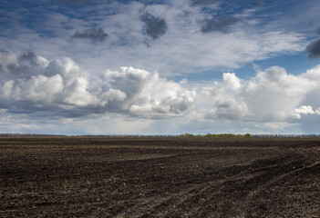 plowed field in spring. trees in the field. dramatic sky over the horizon