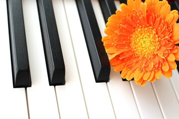 ピアノと花