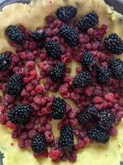 blackberry and raspberry