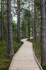 Obraz premium Landscape with a wooden footbridge in a swampy forest, tourist infrastructure, opportunity to get to know nature