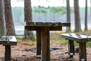wet forest, lake shore, wooden tables, resting place by the lake, Driskina lake, Cesis, Latvia