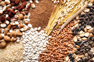 Assorted different types of beans and cereals grains. Set of indispensable sources of protein for a healthy lifestyle. Quality food. Healthy eating concept. - obrazy, fototapety, plakaty
