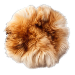  Top view of a squirrel  fur rug isolated on a white background.