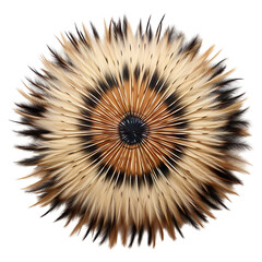  Top view of a porcupine quill rug isolated on a white background.