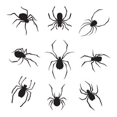  Set of Spider silhouette vector