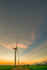 Panoramic view of wind farm or wind park, with high wind turbines for generation electricity with copy space. Green energy concept. Ninh Thuan, Vietnam