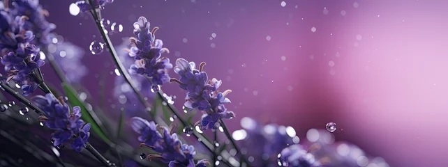 Fotobehang purple wallpaper with closeup of lavender sprig, detailed close-up of purple flower with water droplets © kiddsgn
