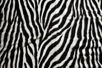 Poster close up of zebra fur for a black and white stripe pattern © Natalia