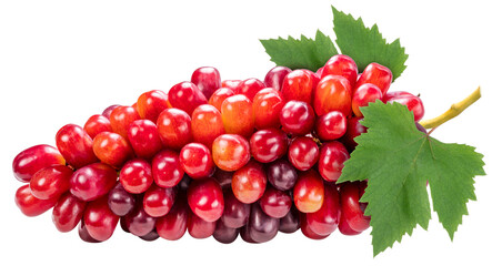 Red Grape with leaves on white background, Red grape or Red shine muscat grape with leaf isolste on white PNG File.