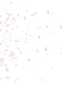 左から水彩風　桜の花びらひらひら舞う 背景白　縦