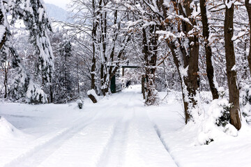 The road in the mountains among the trees is covered with snow. A distant man clears the snow with a shovel
