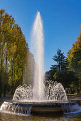 彩の森入間公園／黄色い並木をバックにした噴水／日本埼玉県
