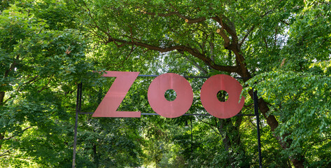 ZOO world word signboard. Sign entrance. Alley in a green park among the trees.