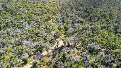 Aerial view of Lake Cave, Western Australia