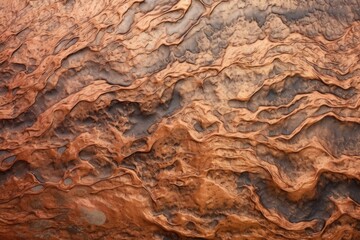 Naklejka premium bronze surface detail under soft natural light