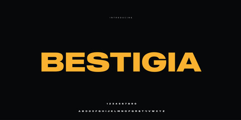 Elegant Font Uppercase Lowercase and Number. Classic Lettering Minimal Fashion Designs. Typography modern Sen Serif fonts regular decorative vintage concept. vector illustration © SyedMuhammad