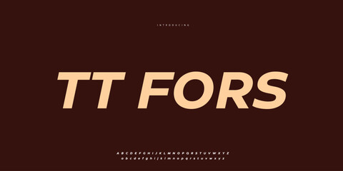 Elegant Font Uppercase Lowercase and Number. Classic Lettering Minimal Fashion Designs. Typography modern Sen Serif fonts regular decorative vintage concept. vector illustration © SyedMuhammad