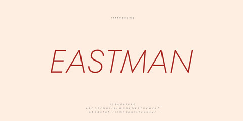Elegant Font Uppercase Lowercase and Number. Classic Lettering Minimal Fashion Designs. Typography modern Sen Serif fonts regular decorative vintage concept. vector illustration © SyedMuhammad