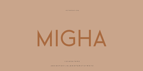 Elegant Font Uppercase Lowercase and Number. Classic Lettering Minimal Fashion Designs. Typography modern Sen Serif fonts regular decorative vintage concept. vector illustration © SyedMuhammad