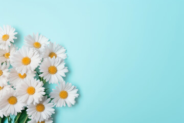 Daisy bunch, isolated pastel background, copy space