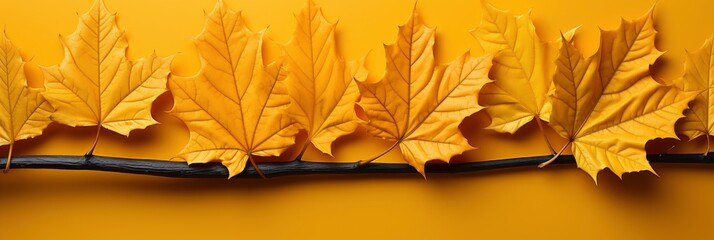 Autumn Yellow Leaf Closeup Bright Orange , Banner Image For Website, Background abstract , Desktop Wallpaper