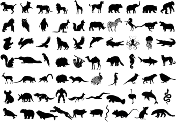 Foto op Plexiglas Animal silhouettes Vector illustration. Diverse species mammals, birds, reptiles, insects. cat, dog, elephant, lion, tiger, snake, bird, fish, cow, pig, deer,hedgehog, lizard, crocodile, giraffe, rat © Arafat