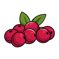 Obraz premium cranberry isolated vector