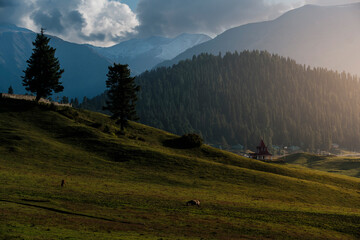 Fototapeta na wymiar majestic view of Gulmarg, Kashmir, India at sunset. The meadow only be seen on the summer during June until October. Gulmarg is famous as a ice sport places during the winter. 