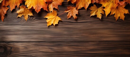 Naklejka na ściany i meble Fall foliage on a wooden surface