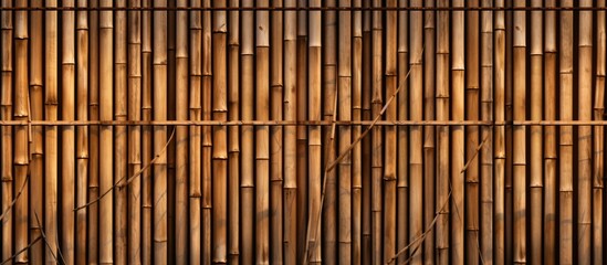 Bamboo walls