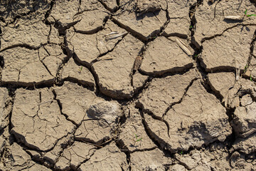 Wall texture soil dry crack pattern of drought lack of water of nature brown old broken background