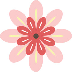 pink daisy flower