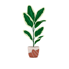Potted plant with big patterned leaves. Exotic houseplant in ceramic pot. Dieffenbachia growing in frowerpot. Home flower, interior decoration. Flat isolated vector illustration on white background