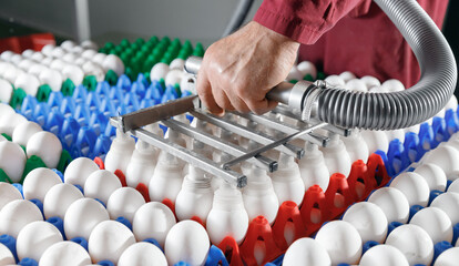 Worker transportation eggs with sucker vacuum pump for preparing dough on production line of bakery factory