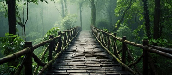 Bamboo bridge leads to paradise