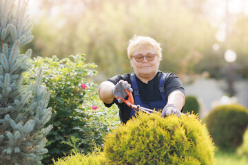 Happy senior woman gardener working with scissors in garden. Female farmer cutting hedge with clippers - obrazy, fototapety, plakaty