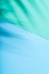 Pastel color background with tropical palm shadow. Blue and green paper and exotic plant shade...