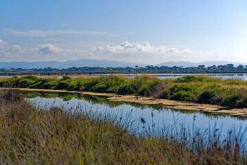 Flamingos at saline of Giens with beautiful scenic landscape on a sunny spring day. Photo taken June 10th, 2023, Giens, France.