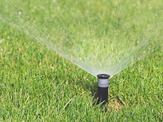Automatic Sprinkler Irrigation System in Green Park