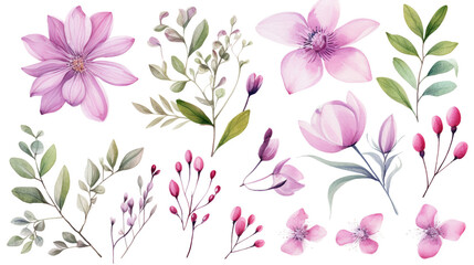 Set of watercolor spring flowers elements