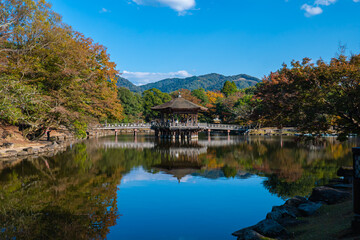 Fototapeta na wymiar 秋が近づく奈良の浮見堂