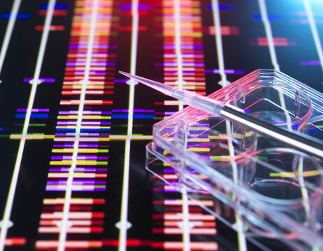 Pipette on multi well plate over DNA research data