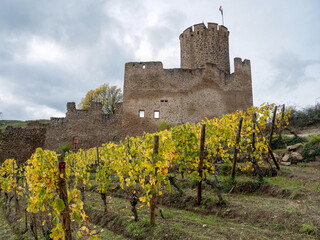 Castle of Kaysersberg  - France