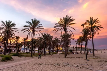 Fotobehang Blaue Stunde und Palmen am Playa de Patacona in Valencia Spanien © dietwalther
