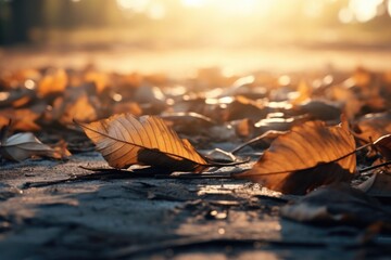 A collection of leaves scattered on the ground. This image can be used to represent the changing seasons or as a background for nature-related designs