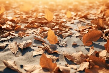 A bunch of leaves laying on top of a sandy beach. This image can be used to depict the beauty of nature and the peacefulness of a beach setting