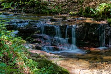  Der Feldbach in der Kaskadenschlucht bei Sandberg, Stadt Gersfeld, Biosphärenreservat Rhön, Hessen, Deutschland