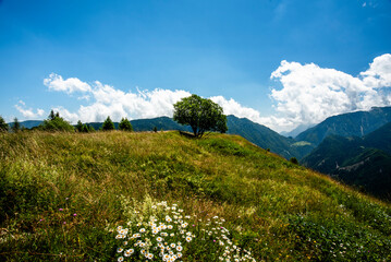 2023 7 16 Folgaria alpine pastures 10.jpg